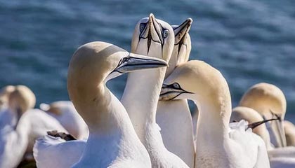 开云体育最新地址-中国男子篮球联赛赛场上演惊天逆转，中国男子篮球比赛